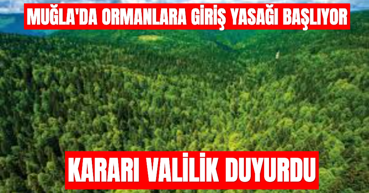 Muğla Valiliği Ormanlara Giriş Yasağı Getirdi